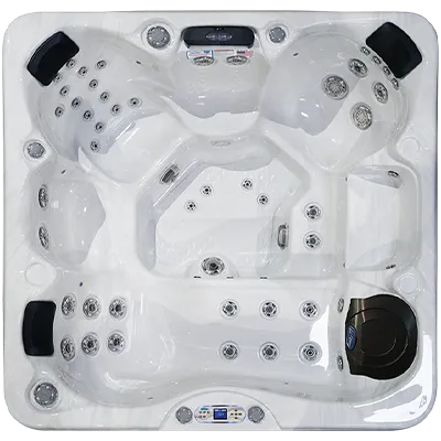Avalon EC-849L hot tubs for sale in Billerica